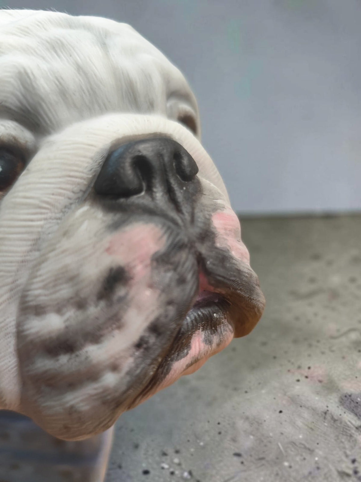 English Bulldog urn