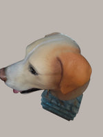 Labrador urn