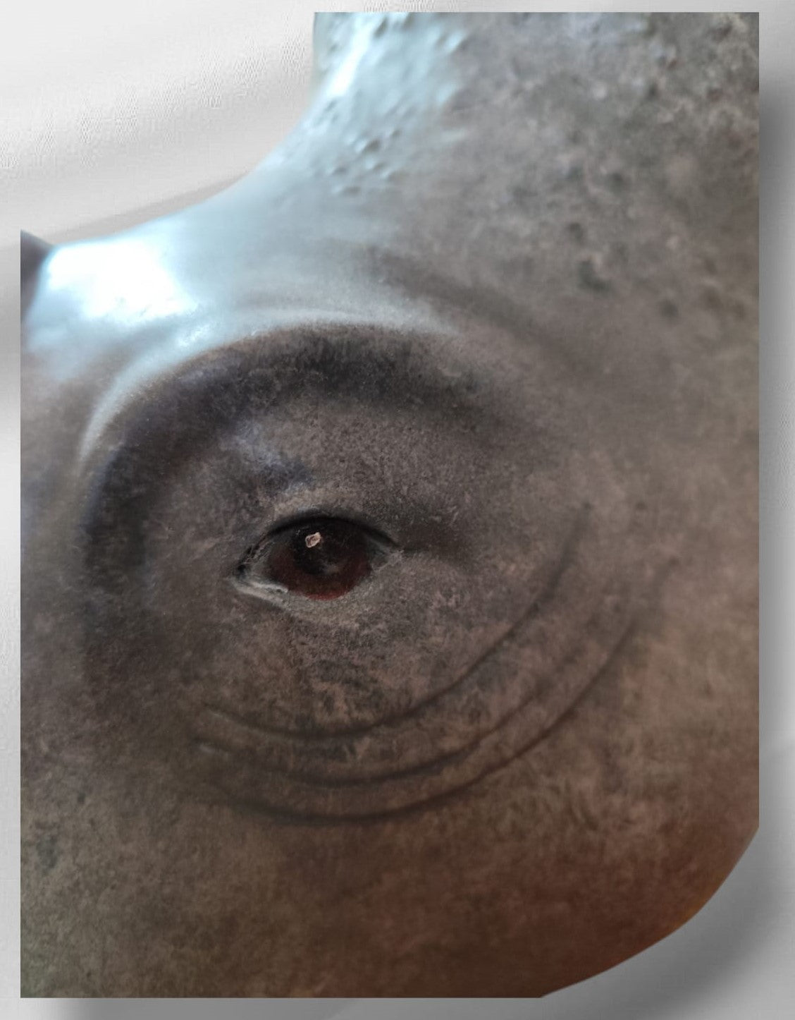 Statue tête de Rhinoceros