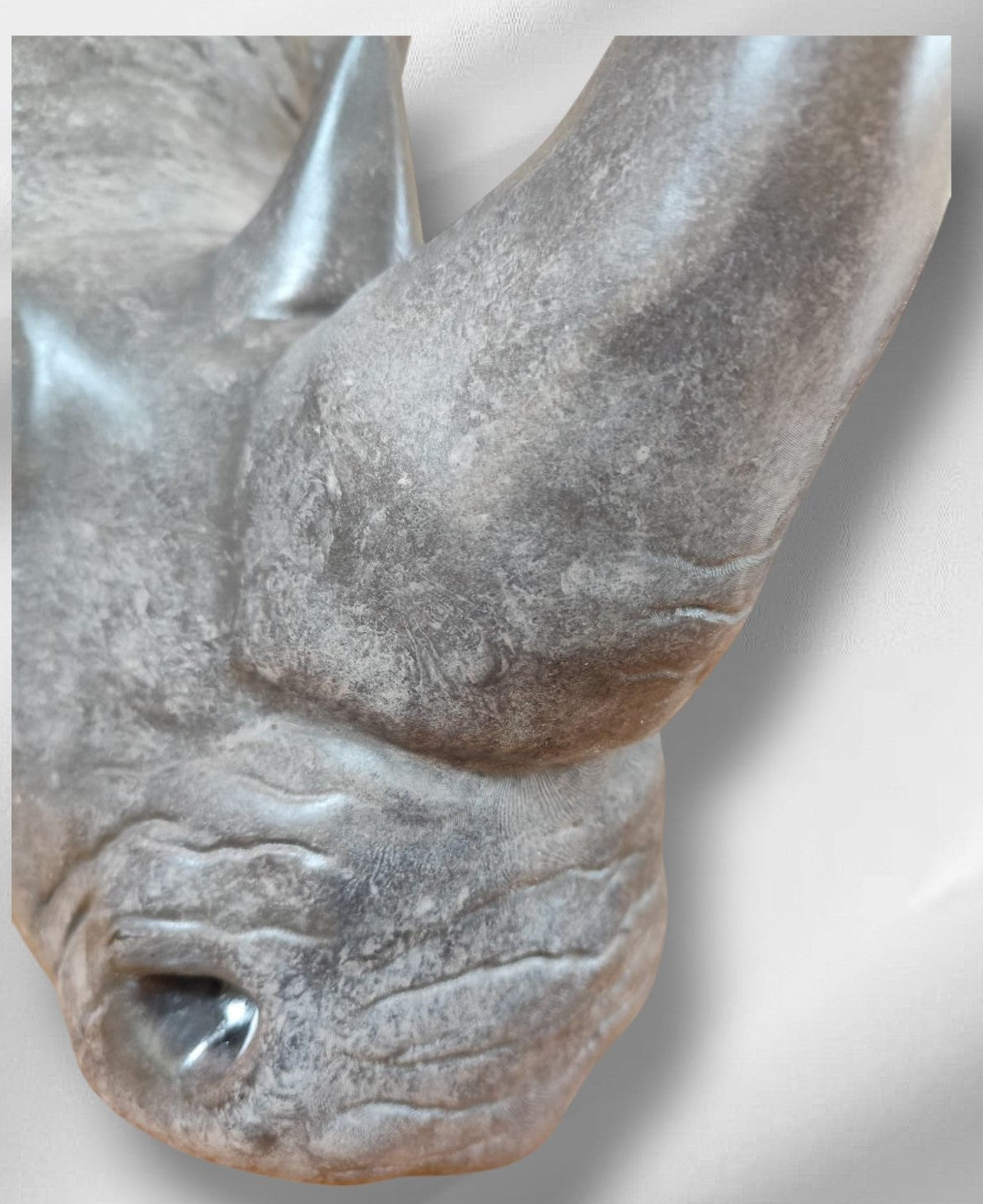 Statue tête de Rhinoceros