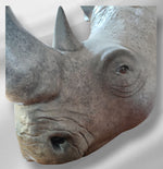 Statue tête de Rhinoceros
