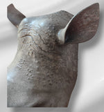 Statue tête de Rhinoceros