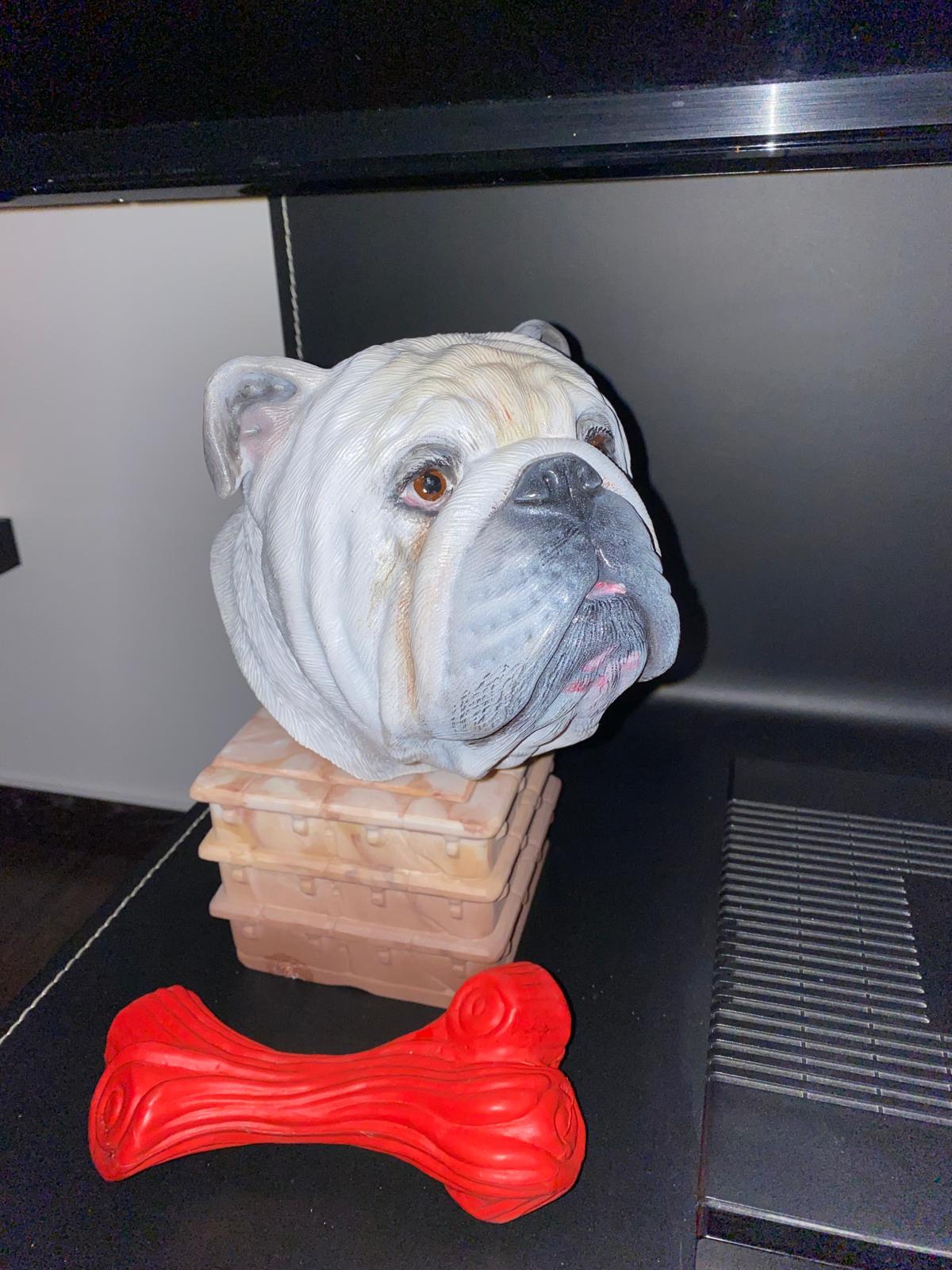 Urne bouledogue anglais