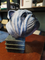 Urne bouledogue anglais