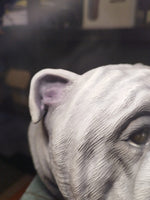 Urne bouledogue anglais