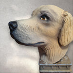 UrneGolden Retriever