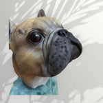 Urne Bouledogue Français