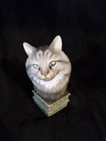 Urne tête de chat européen