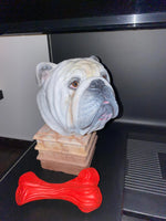 Urne bouledogue anglais