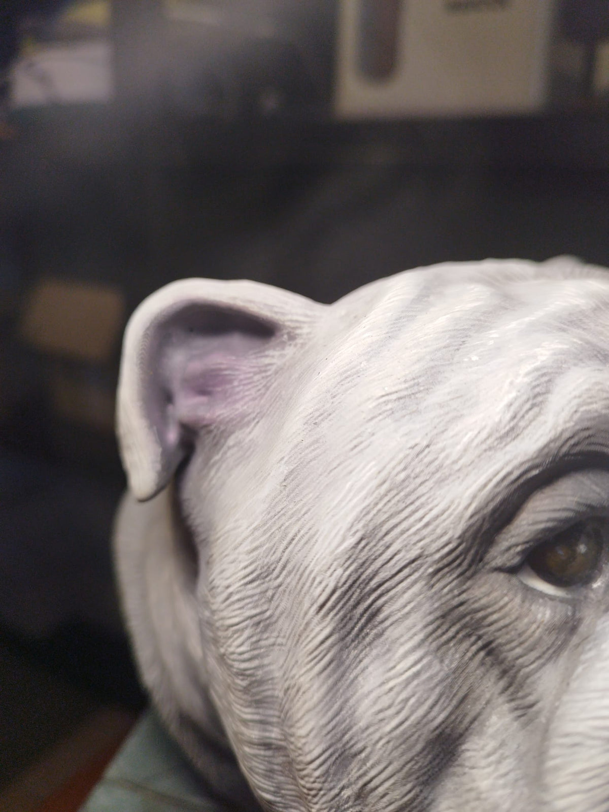 Urne bouledogue anglais