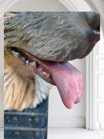 Urne Berger Allemand