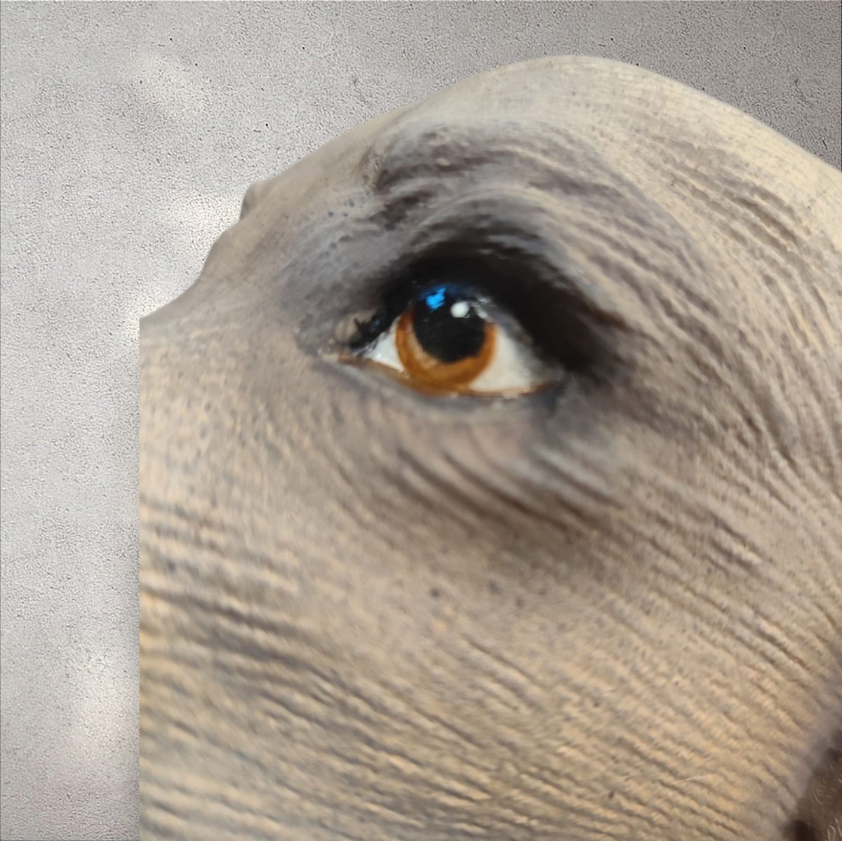 Personalized Golden Retriever