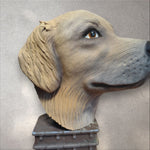 Personalized Golden Retriever