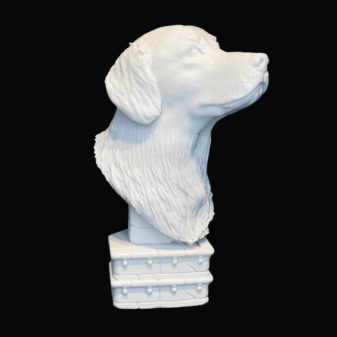 Urne Golden Retreiver