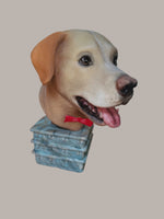 Labrador urn
