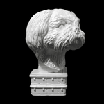 Urne Shih Tzu